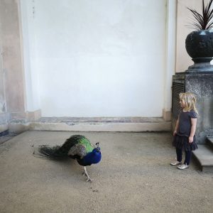 Il paesaggio urbano : Praga